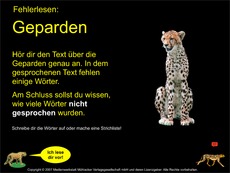 Fehlerlesen-Geparden-Übung.pdf